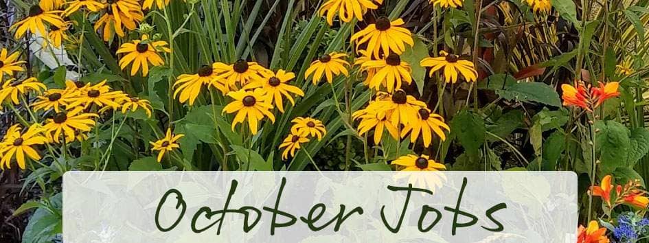 October jobs